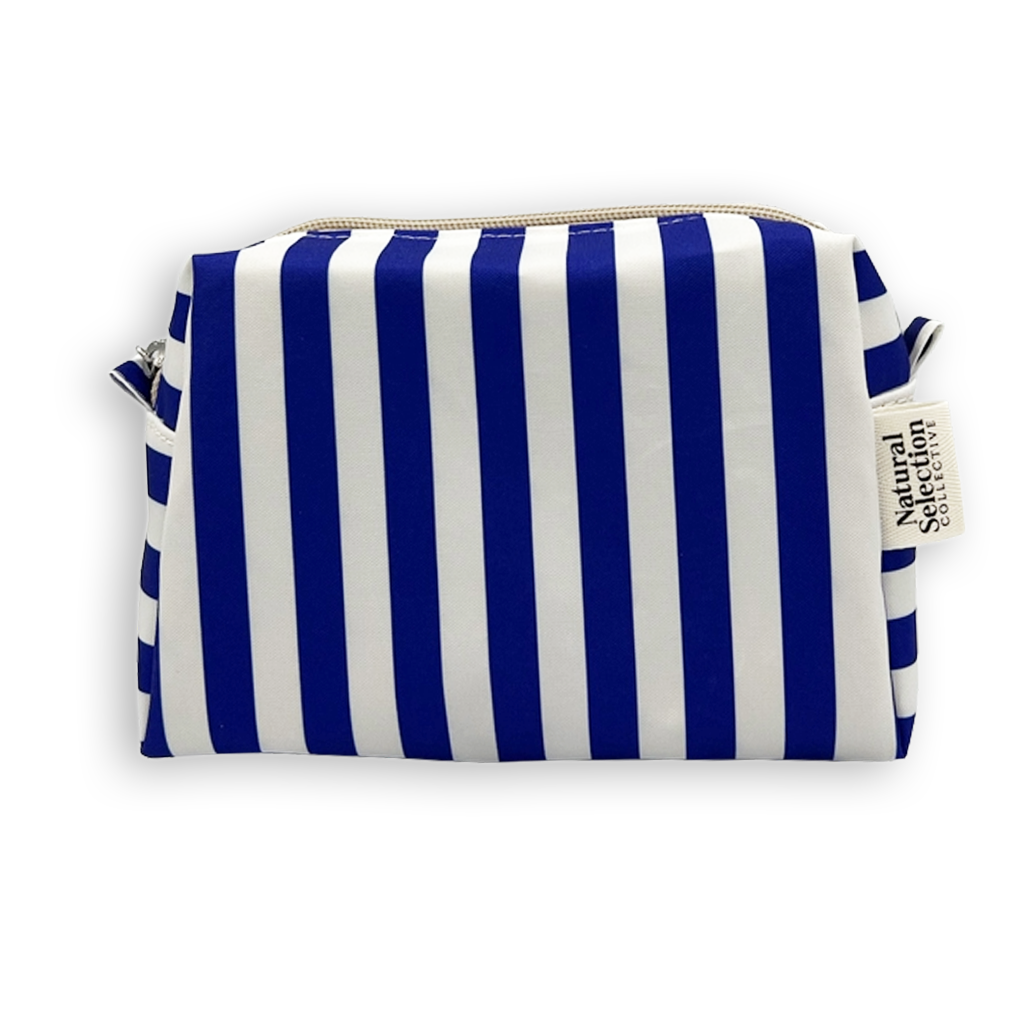 Splendida Stripes Blue Mini Box Bag