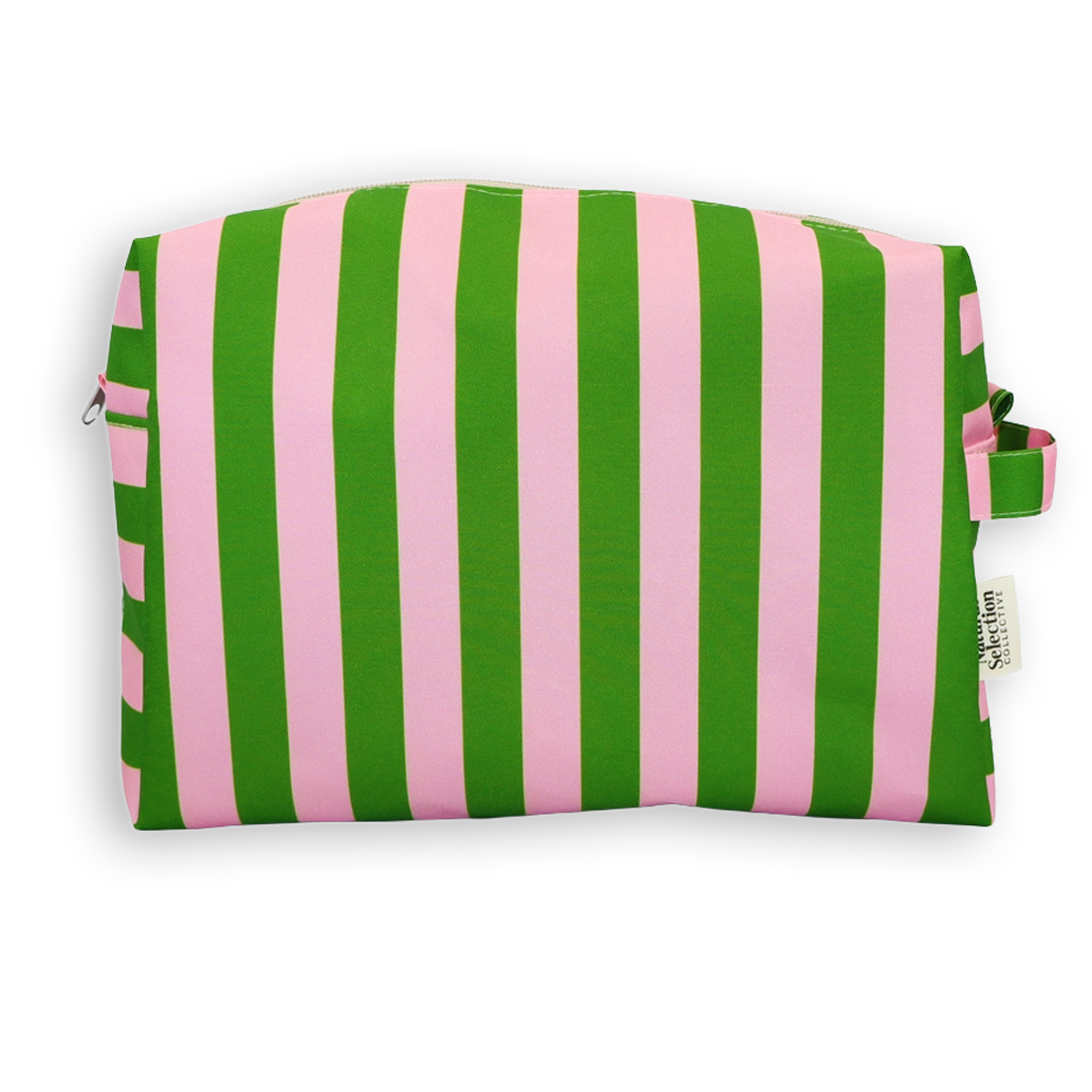Splendida Stripes Pink & Green Scatter Toiletry Bag