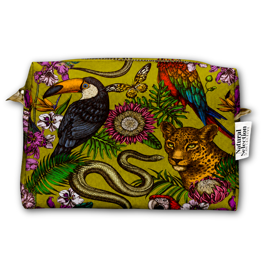 Folklore Chartreuse Mini Box