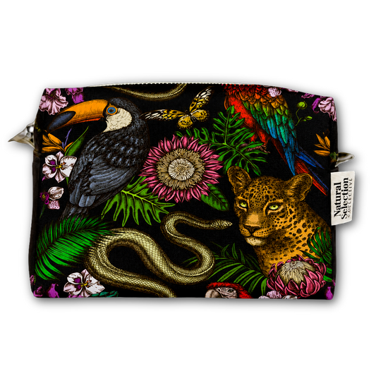 Folklore Black Mini Box