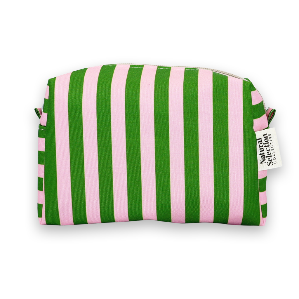 Splendida Stripes Pink & Green Mini Box Bag