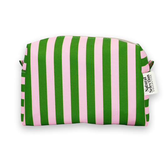Splendida Stripes Pink & Green Mini Box Bag