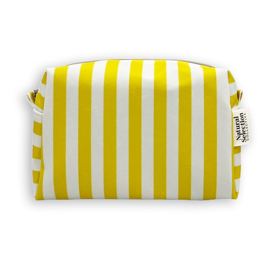 Splendida Stripes Yellow Mini Box Bag