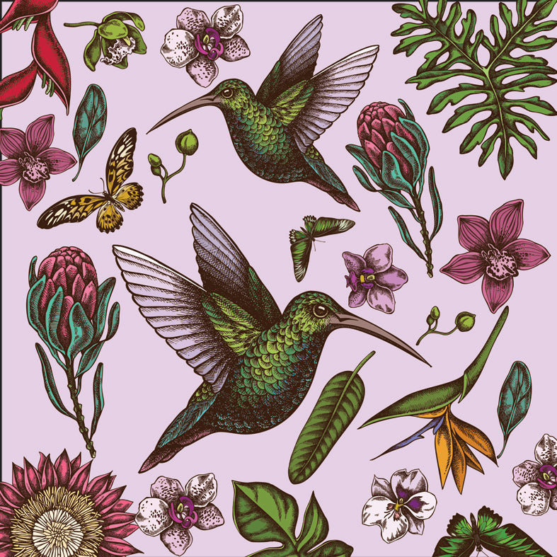 Violet Hummingbird