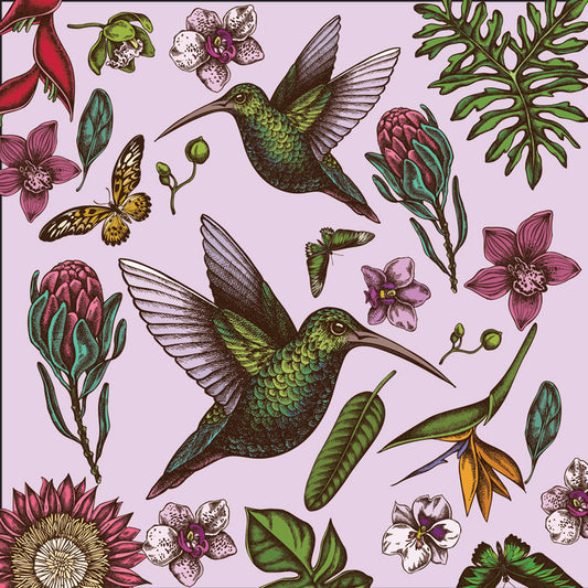 Violet Hummingbird