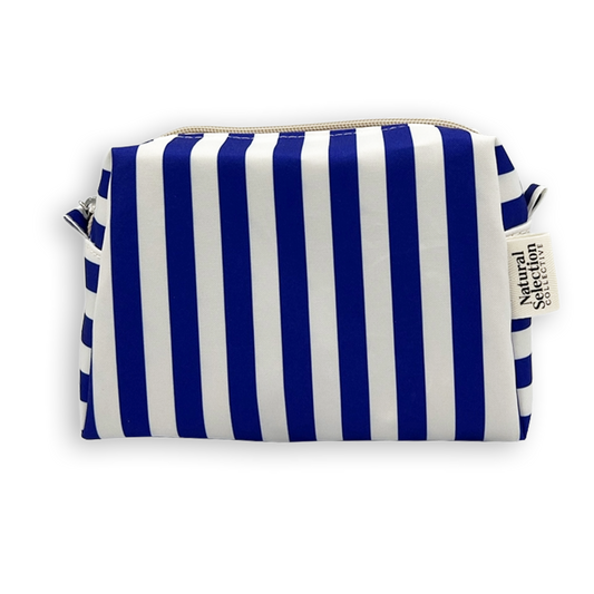 Splendida Stripes Blue Mini Box Bag